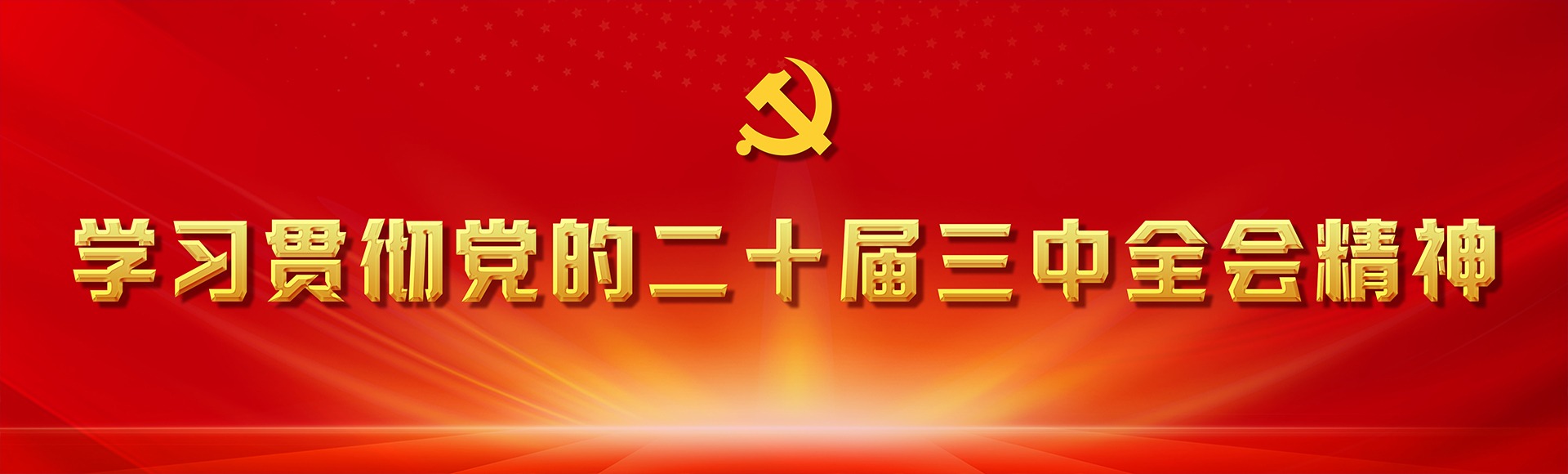 学习贯彻党的二十届三中全会精神